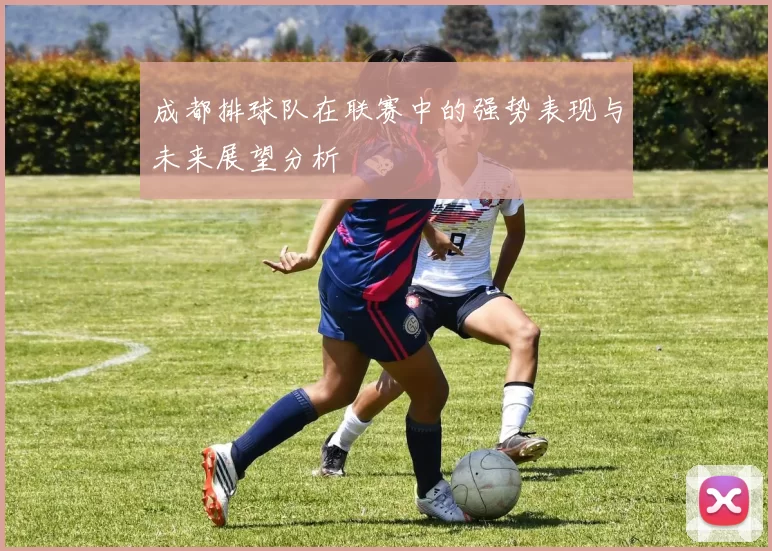 成都排球队在联赛中的强势表现与未来展望分析