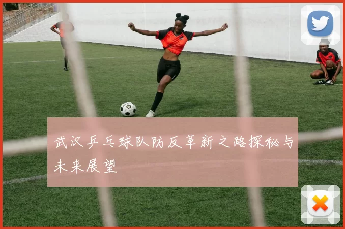 武汉乒乓球队防反革新之路探秘与未来展望