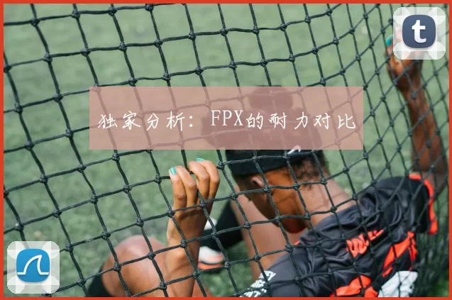独家分析：FPX的耐力对比