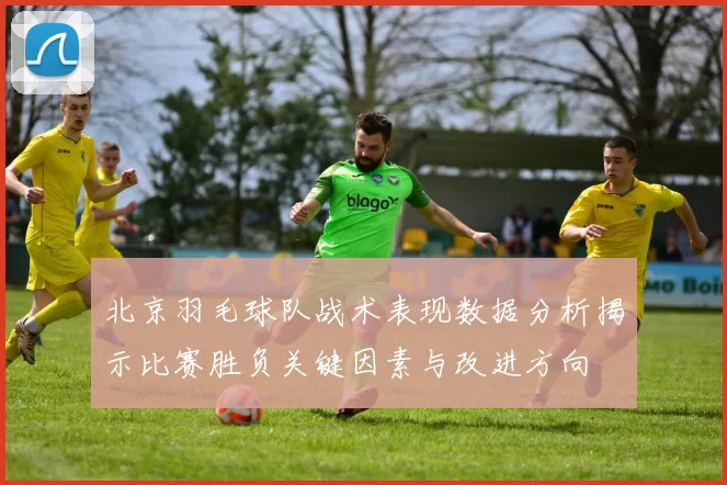 北京羽毛球队战术表现数据分析揭示比赛胜负关键因素与改进方向
